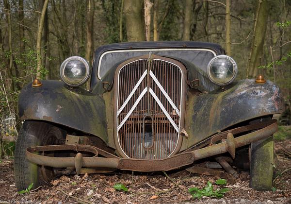 Auto-Skulpturen-Park-Neandertal