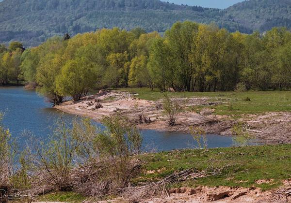 Auenlandschaft-Hohenrode_18.04.2020