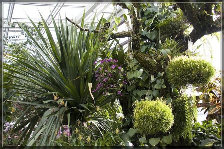 008_Berggarten_Hannover