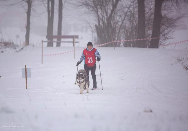 Schlittenhunderennen-Liebenscheid_2019