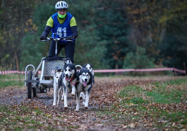 Schlittenhunderennen-Stroehen_20.11.2021