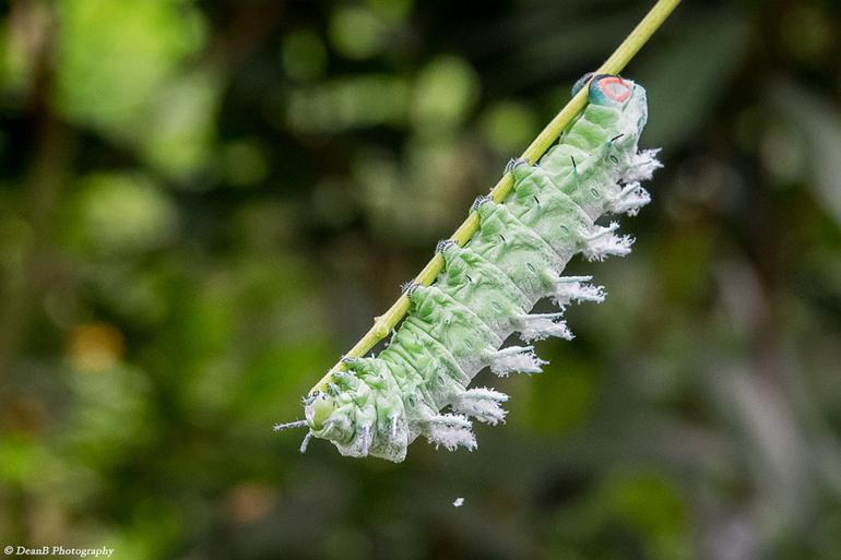 P8300114