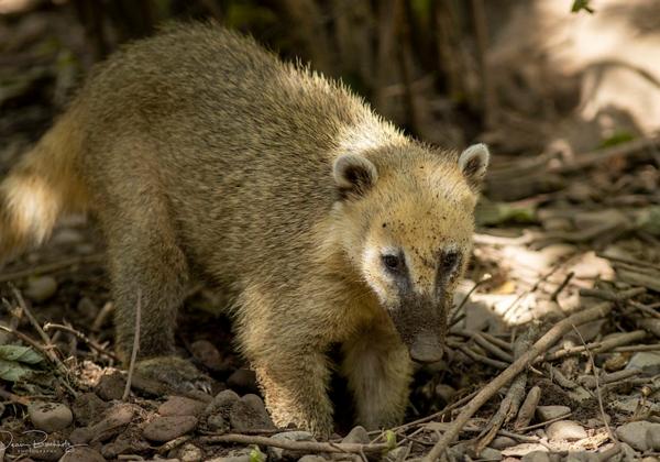 Tierpark-Bad-Pyrmont_19.08.2020