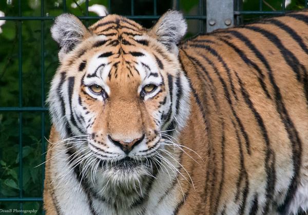 Tierpark-Stroehen_27.07.2016