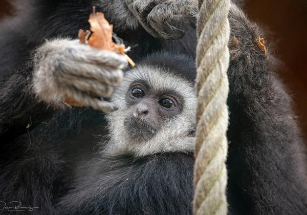 Tierpark-Stroehen_24.03.2019