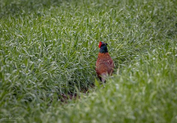 Tierpark-Stroehen_01.05.2021