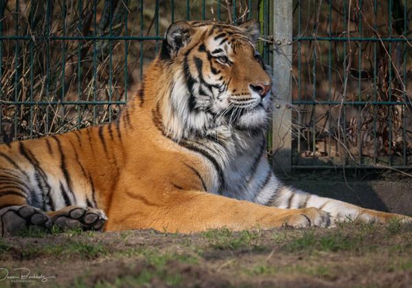 Tierpark-Stroehen_05.03.2022