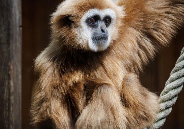 Tierpark-Stroehen_01.05.2023
