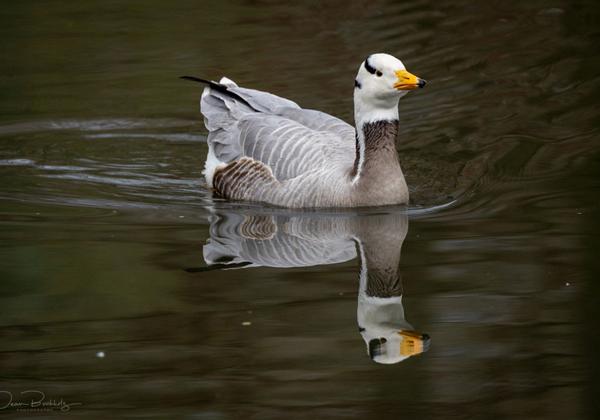 Tierpark-Stroehen_16.03.2024