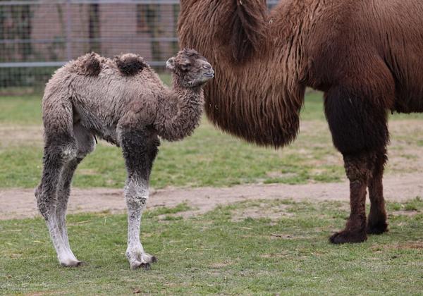 Tierpark-Thuele_20.03.2021