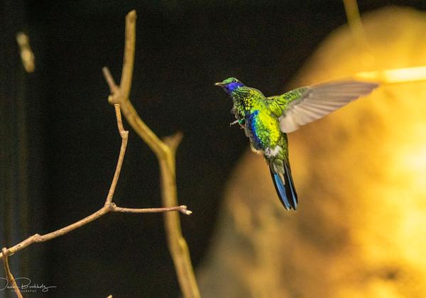 Vogelpark-Walsrode_30.08.2020