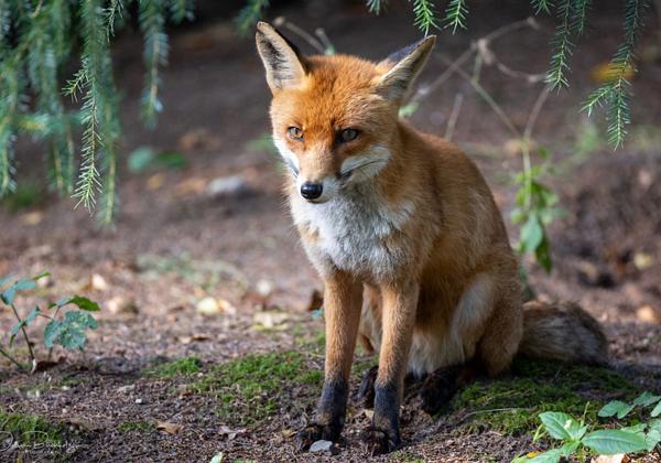 Wildpark-Eekholt_28.08.2022