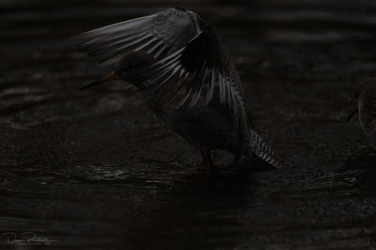 7R7A6207-1024