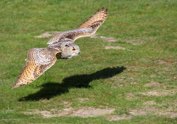 Wildpark-Lueneburger-Heide_10.04.2023