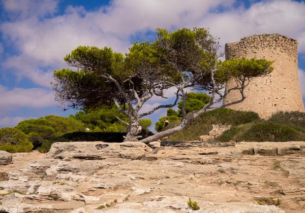 Cala-Pi_(Mallorca)