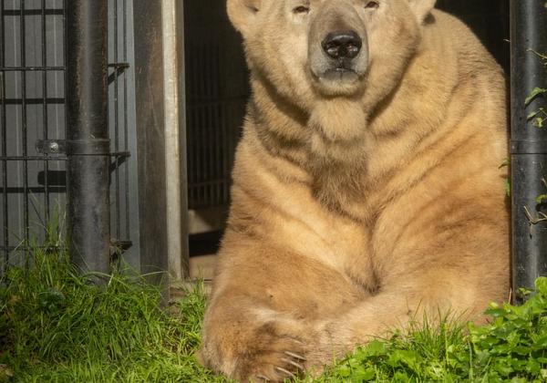 Aquazoo-Holland_15.10.2023
