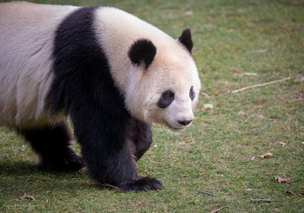 Zoo-Berlin_08.02.2019