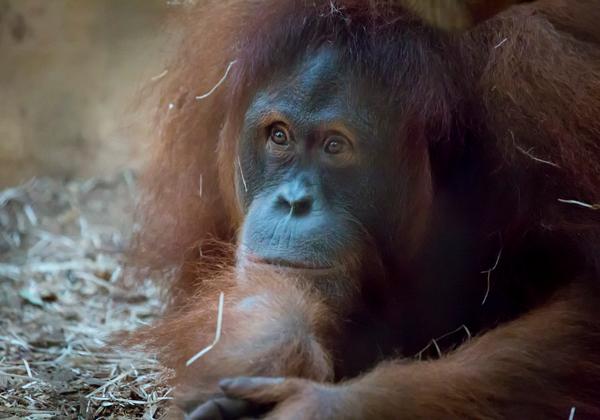 Zoo-Dortmund_18.02.2017