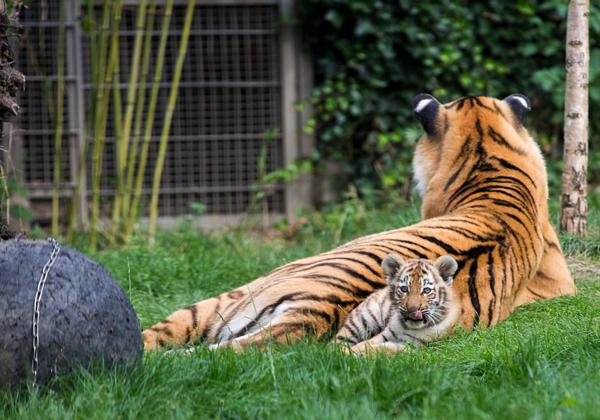 Zoo-Duisburg_11.09.2016