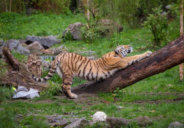 Zoo-Duisburg_22.04.2017