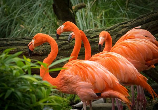 Zoo-Duisburg_31.10.2017