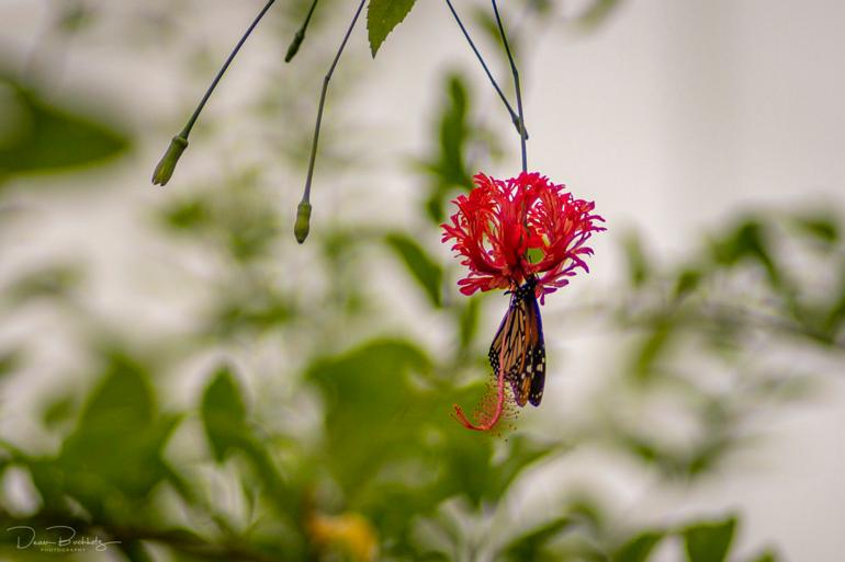 DSC04811_1024