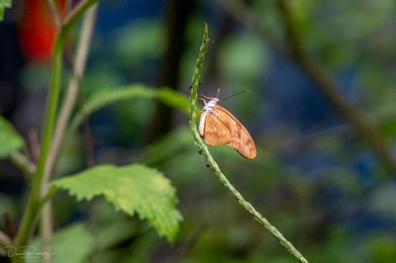 DSC04891_1024
