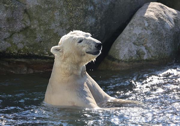 Zoo-Emmen_09.10.2021