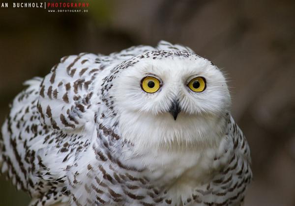 Zoo-Gelsenkirchen_24.04.2014