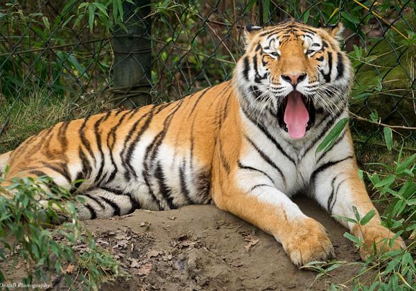 Zoo-Gelsenkirchen_19.12.2015