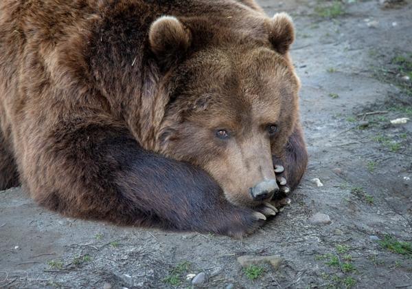 Zoo-Gelsenkirchen_16.02.2019
