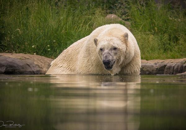 Zoo-Gelsenkirchen_12.06.2021