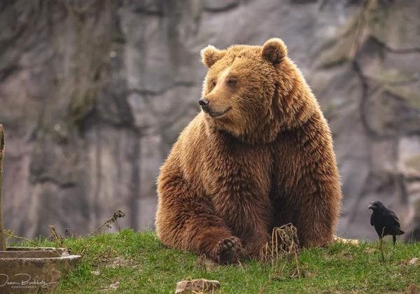 Zoo-Gelsenkirchen_29.01.2022