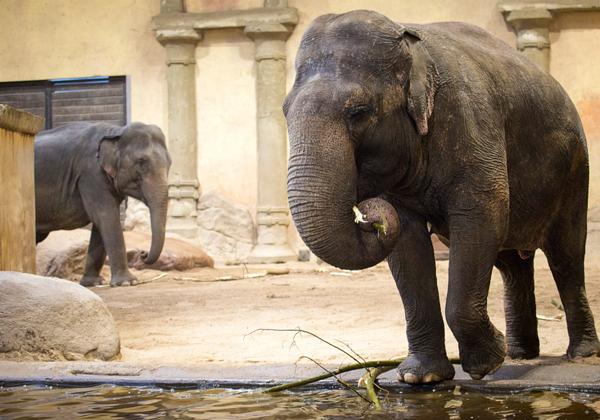 Zoo-Hagenbeck_17.12.2016