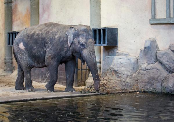 Zoo-Hagenbeck_27.11.2016