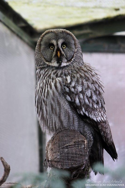 Erlebnis-Zoo_Hannover_06