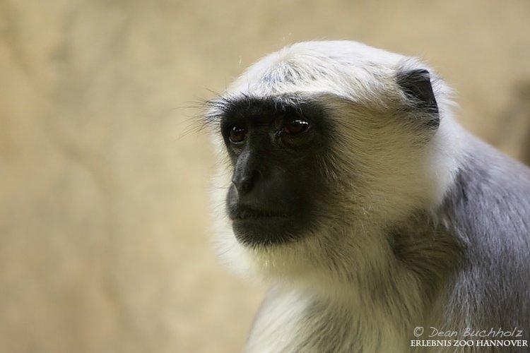 Erlebnis-Zoo_Hannover_10