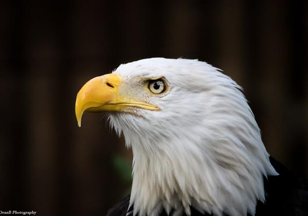 Zoo-Hannover_01.11.2014