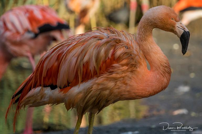 DSC00251_1024