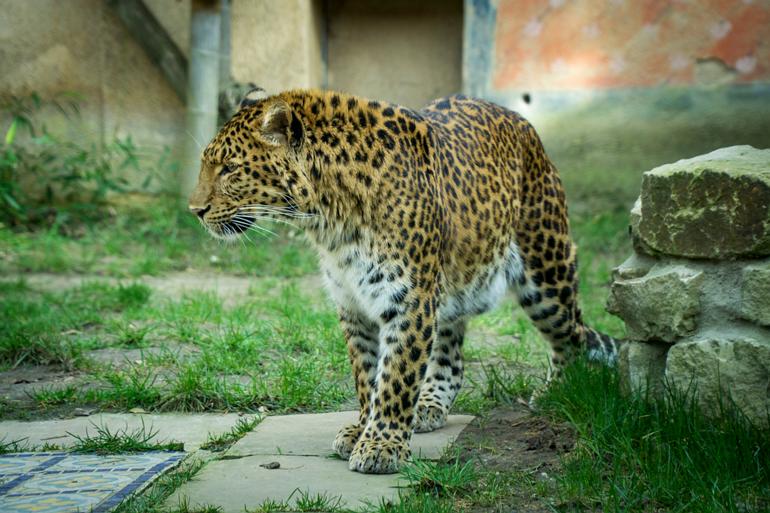 DSC00549_1024
