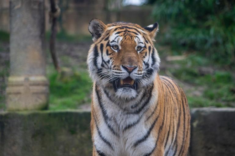 DSC08896_1024