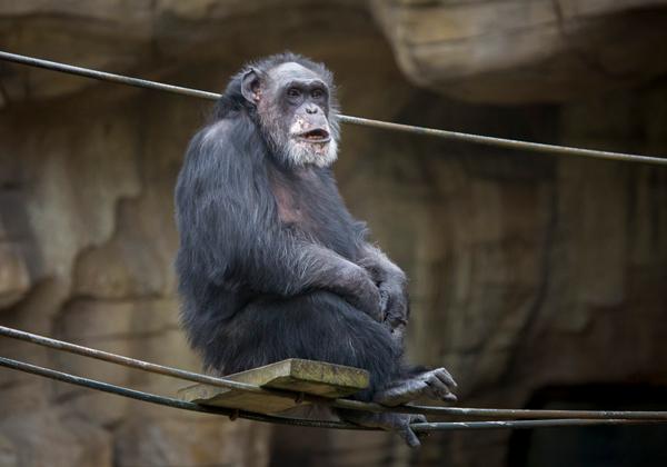 Zoo-Hannover_11.02.2017