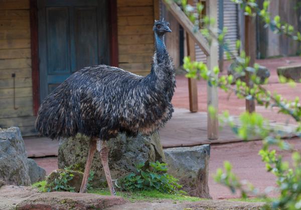 Zoo-Hannover_11.04.2017