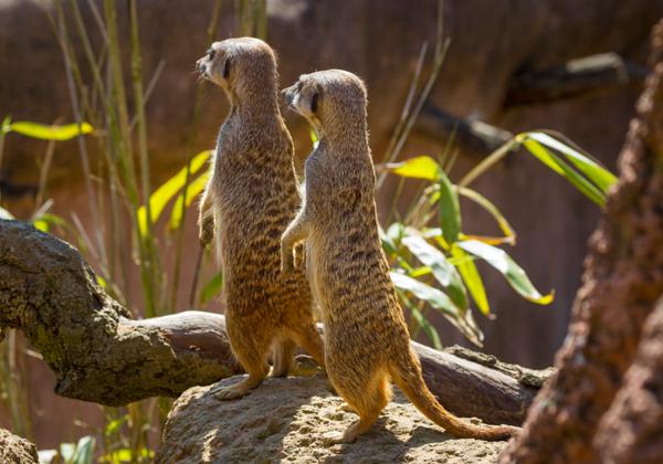 Zoo-Hannover_11.05.2017