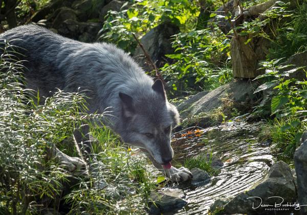Zoo-Hannover_12.10.2017