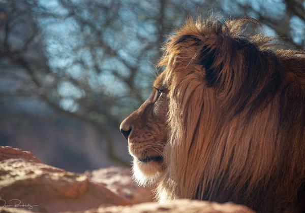 Zoo-Hannover_14.02.2019