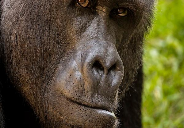 Zoo-Hannover_06.09.2020
