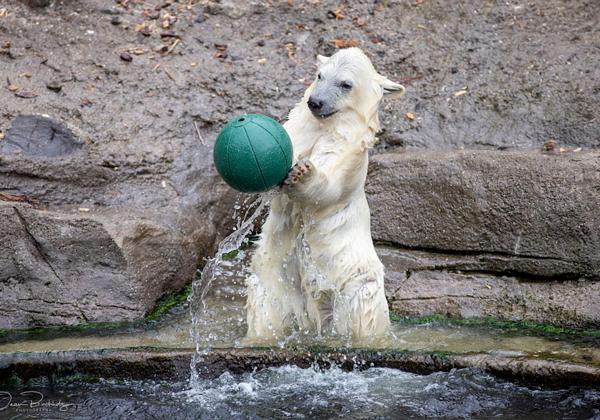 Zoo-Hannover_14.06.2020