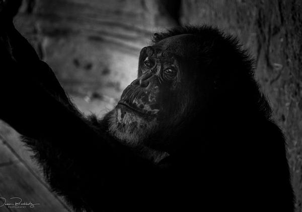 Zoo-Hannover_21.08.2020