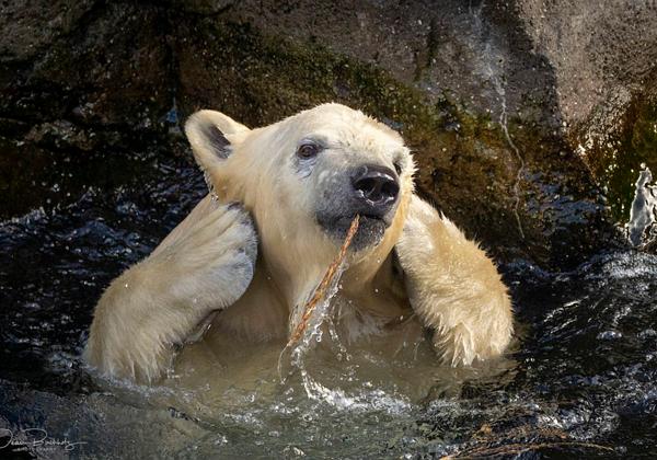 Zoo-Hannover_25.09.2020